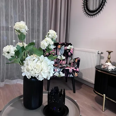 Daire White Glove Deluxe Sobieszewo Gdansk