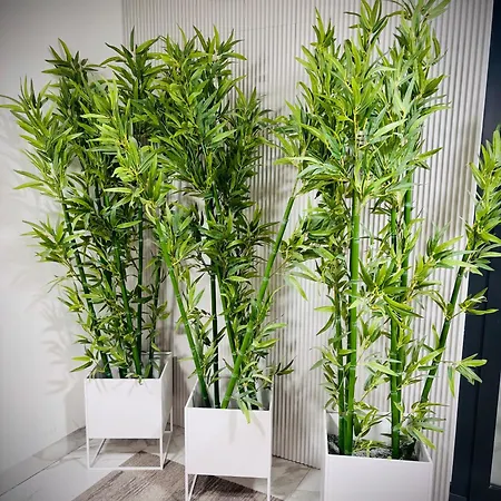 アパート White Glove Deluxe Sobieszewo *