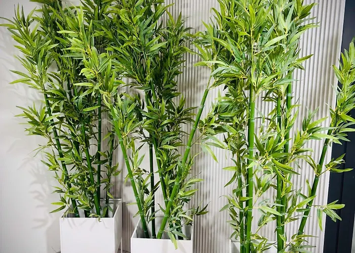 公寓 White Glove Deluxe Sobieszewo *